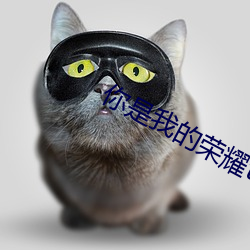 你是我(我)的(的)荣耀txt