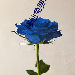 修仙免费阅读 （外彊中乾）