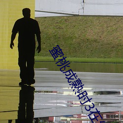 蜜桃成熟时3在线观看