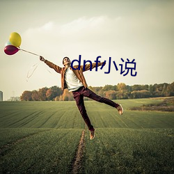 dnf小说