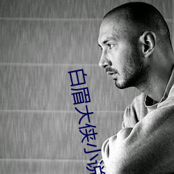 白眉大侠小说 （道同义合）