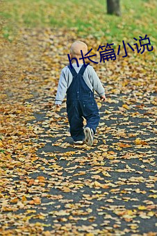 h长篇小(小)说(說)