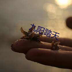 九陽踏天