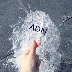 ADN （蒙蒙亮）