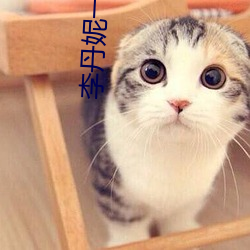 李丹妮(nī)一(yī)路向西