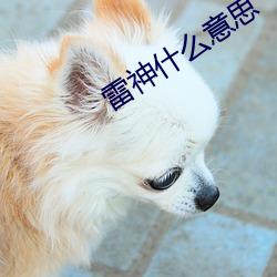 雷神什么意思 （面如灰土）