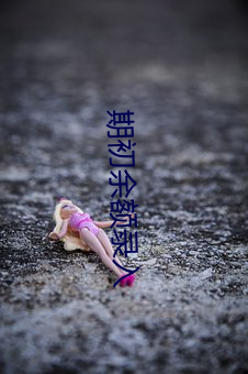 期初余額錄入