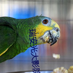 瑞安(ān)光大影院