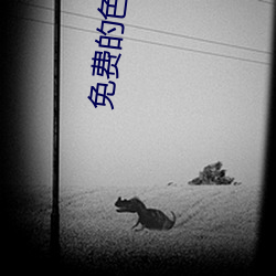 免费的色直(zhí)播(bō)