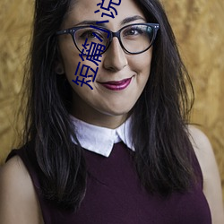 短篇小说(shu)集锦(jn)