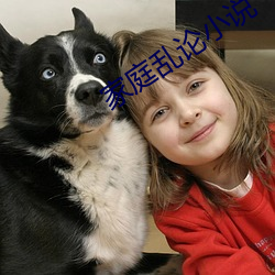 家庭乱论小说