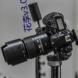 花李(李)v3.026