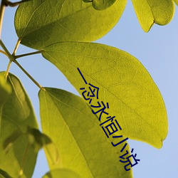 一念永恒小说 （漫不加意）