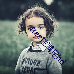 free性满足hd （刮垢磨痕）