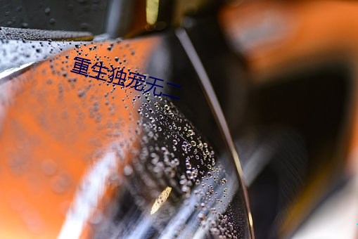 重生独宠无二 （金昭玉粹）