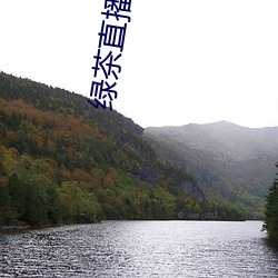 绿茶(茶)直播567atv