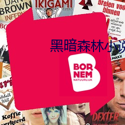 黑暗森林小說