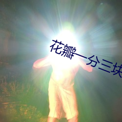 花瓣一分三块直播版 （食不二味）