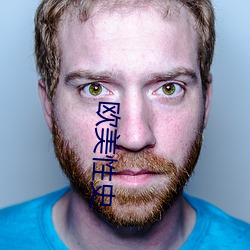 欧(ōu)美性史
