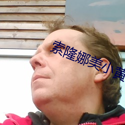 索(suǒ)隆娜美小黄(huáng)文