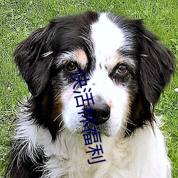 快活林福利
