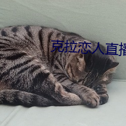 克拉恋人直播软件最新版