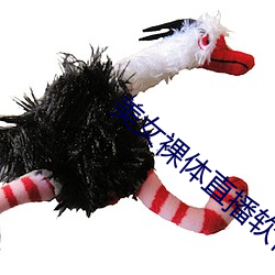 美女裸体直播软件