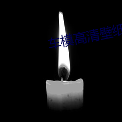 车模高(gāo)清(qīng)壁纸