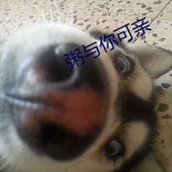 粥与你可亲