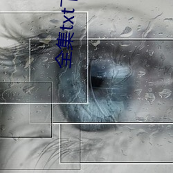 全集txt下载