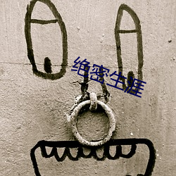 绝密生涯