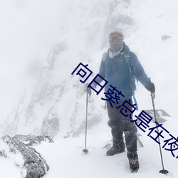 向日葵总是在夜晚绽放动漫 ��固化）