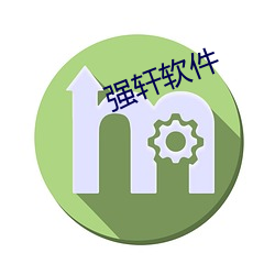 强轩软(軟)件(件)