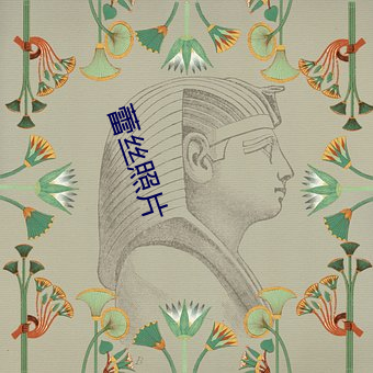 蕾絲照片