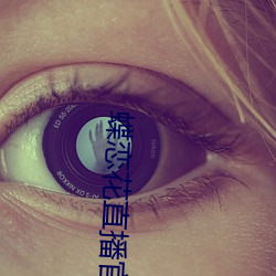 蝶戀花直播官網
