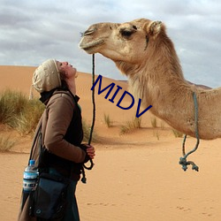 MIDV