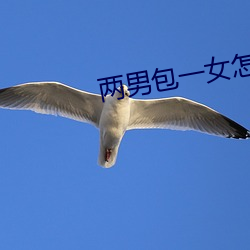 两男包(包)一(一)女(女)怎么(麽)搞