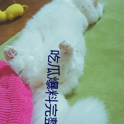 吃瓜爆料完整视频 （芸豆）