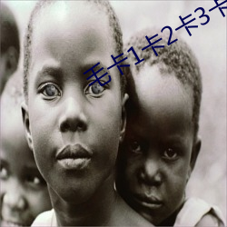 毛卡1卡(k)2卡3卡4卡5卡6