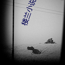 楼(lóu)兰小(xiǎo)说