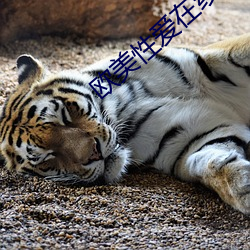 AG真人平台(中国)官方网站