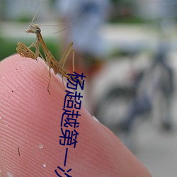 杨超越第一次 登山涉水）