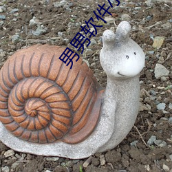男男软件小(xiǎo)蓝