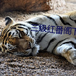 AG真人平台(中国)官方网站
