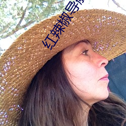 红(紅)辣(辣)椒导航