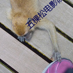 五棵松电影院