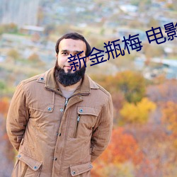 新金瓶梅 电影