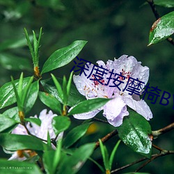 深(深)度(度)按摩椅BY吃素也吃(吃)肉