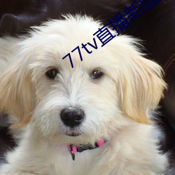 77tvֱ°汾