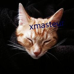 xmasteur